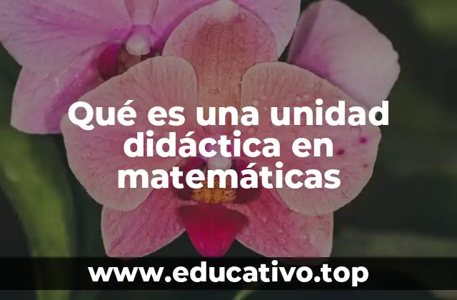 Qué es una unidad didáctica en matemáticas