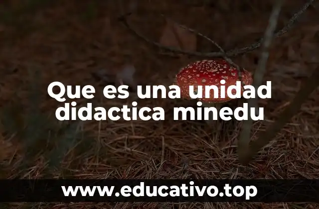 Que es una unidad didactica minedu