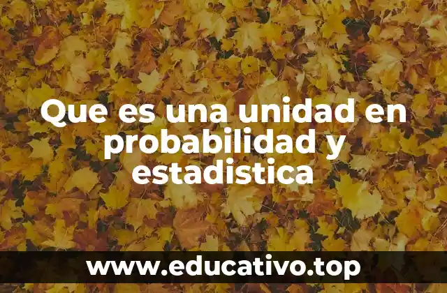 Que es una unidad en probabilidad y estadistica