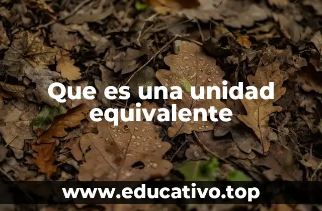 Que es una unidad equivalente