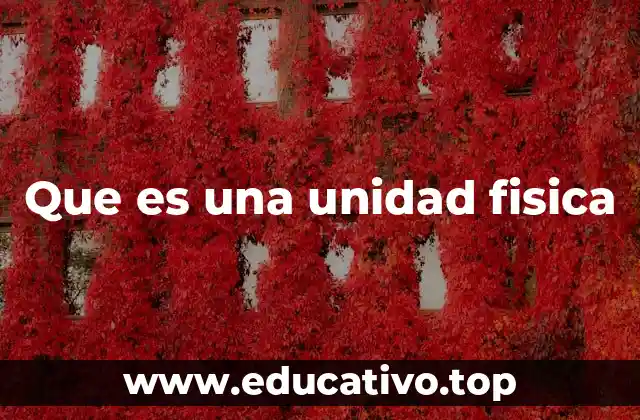 Que es una unidad fisica