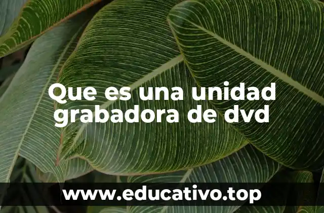 Que es una unidad grabadora de dvd