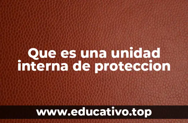 Que es una unidad interna de proteccion