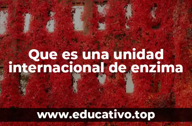 Que es una unidad internacional de enzima