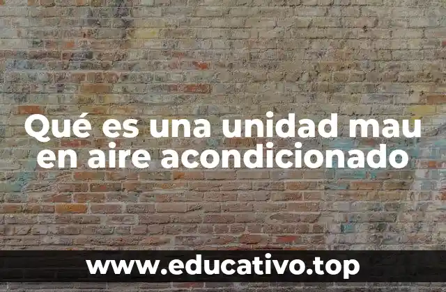 Qué es una unidad mau en aire acondicionado
