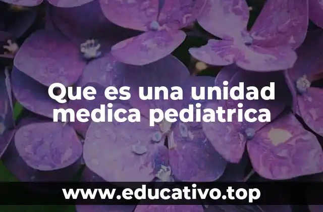 Que es una unidad medica pediatrica