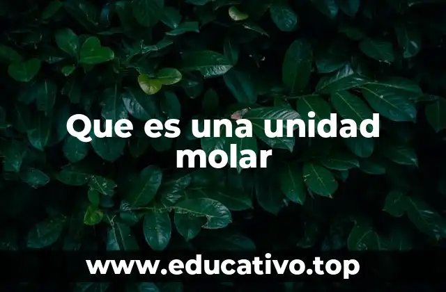 Que es una unidad molar