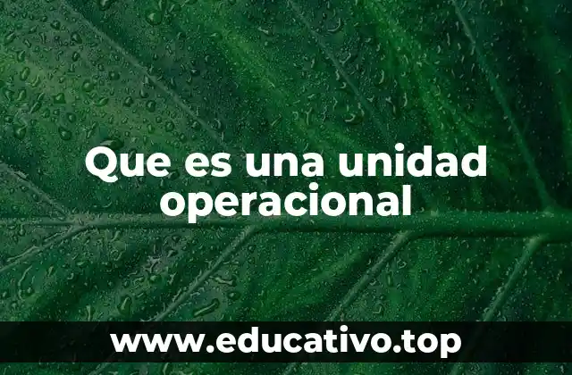 Que es una unidad operacional