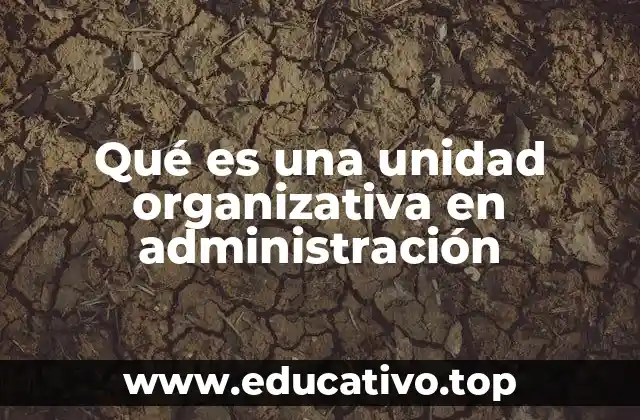 Qué es una unidad organizativa en administración