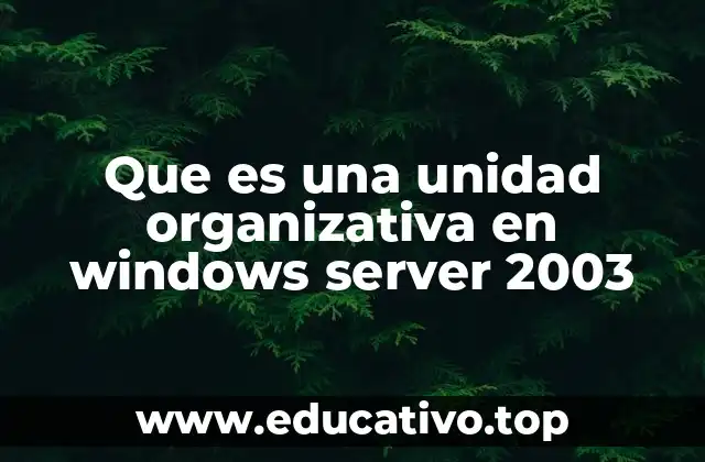 Que es una unidad organizativa en windows server 2003