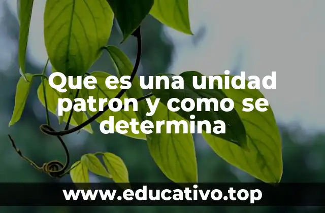 Que es una unidad patron y como se determina