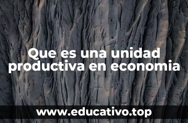 Componentes esenciales de una unidad productiva