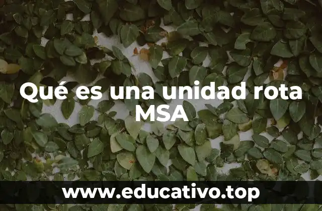 Qué es una unidad rota MSA