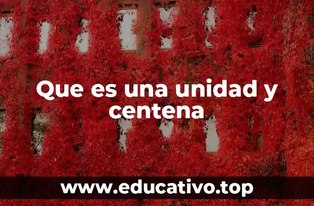 Que es una unidad y centena