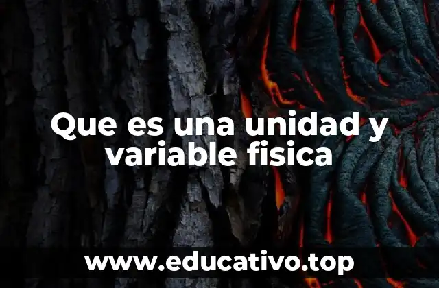 Que es una unidad y variable fisica