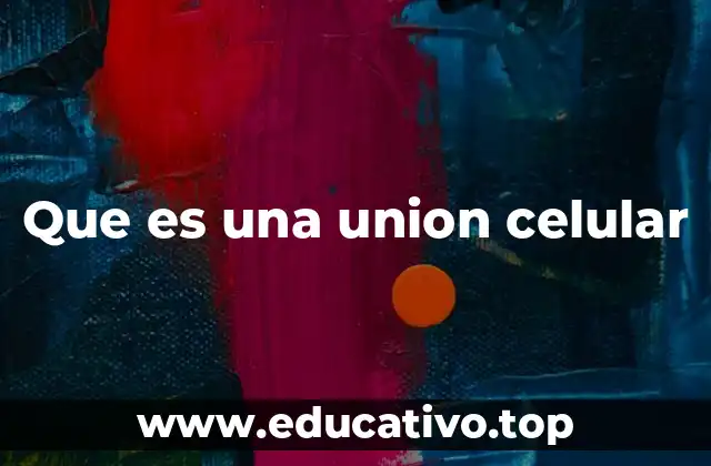 Que es una union celular
