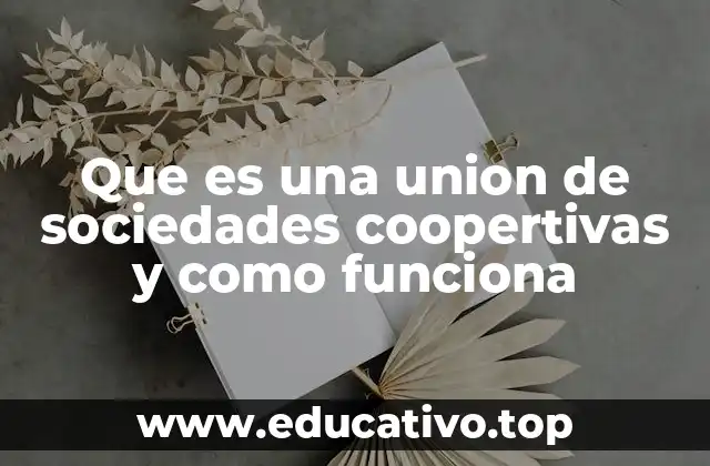Que es una union de sociedades coopertivas y como funciona