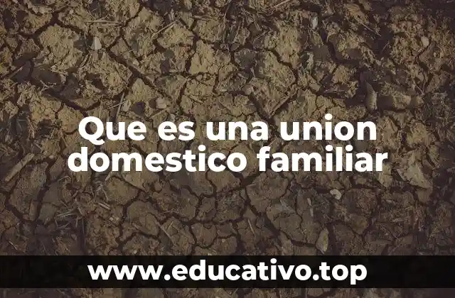 Que es una union domestico familiar