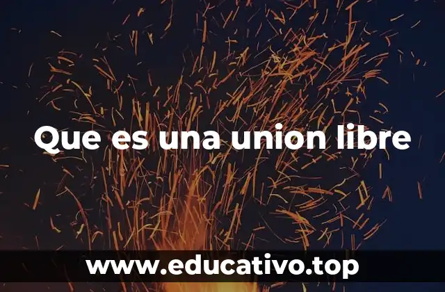 Que es una union libre