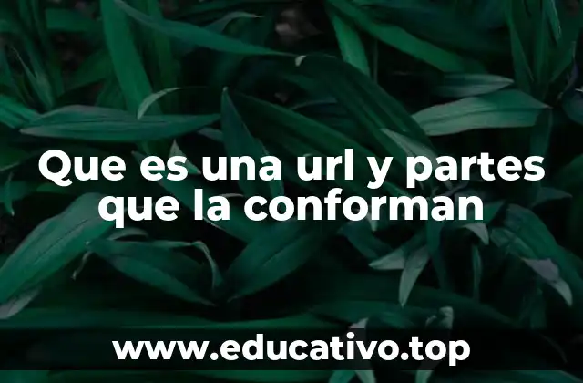 Que es una url y partes que la conforman