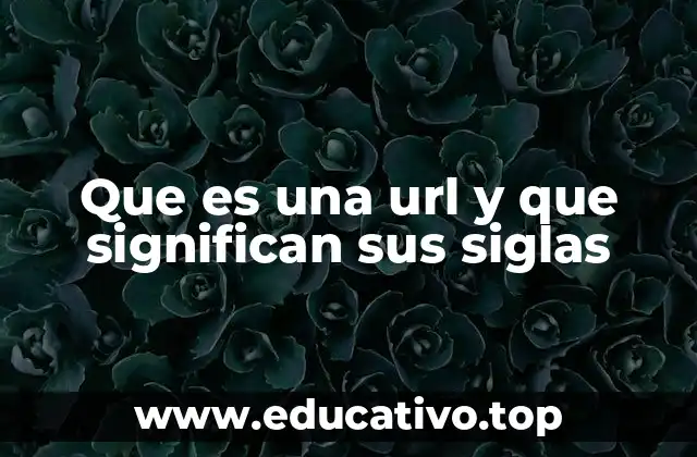 Que es una url y que significan sus siglas
