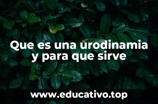 Que es una urodinamia y para que sirve
