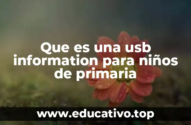 Que es una usb information para niños de primaria