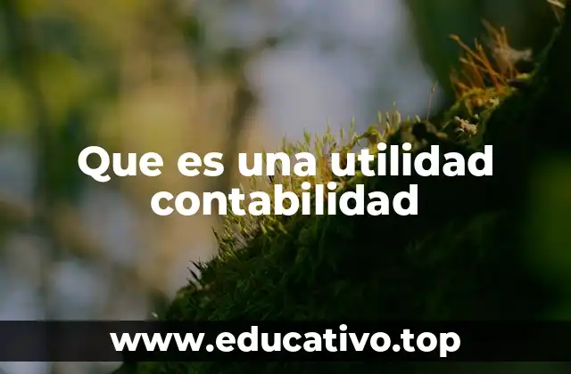 Que es una utilidad contabilidad