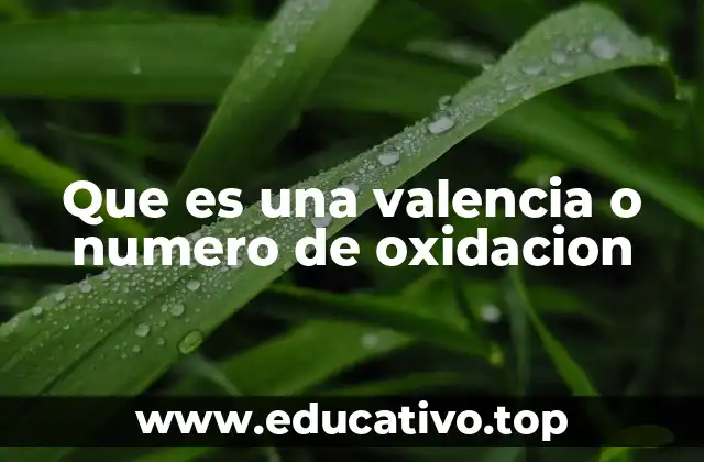Que es una valencia o numero de oxidacion