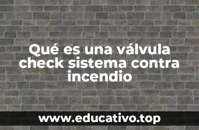 Qué es una válvula check sistema contra incendio
