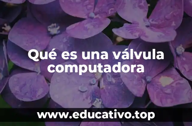 Qué es una válvula computadora