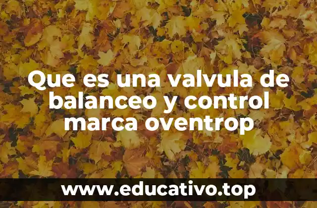 Que es una valvula de balanceo y control marca oventrop
