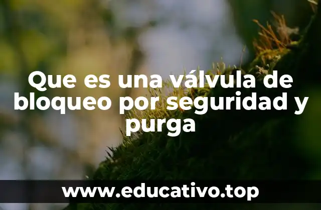 Que es una válvula de bloqueo por seguridad y purga