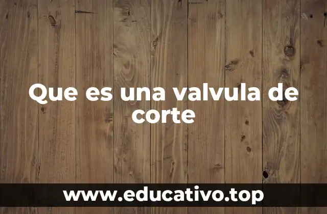 Funcionamiento básico de las válvulas de corte