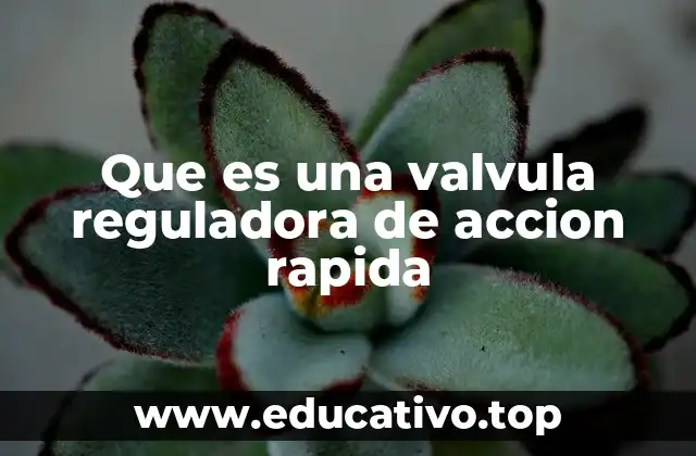 Que es una valvula reguladora de accion rapida