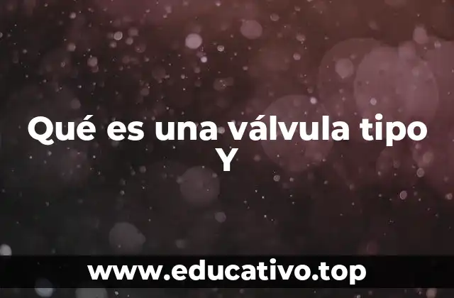 Qué es una válvula tipo Y