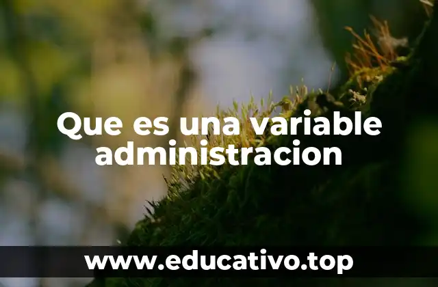 Que es una variable administracion