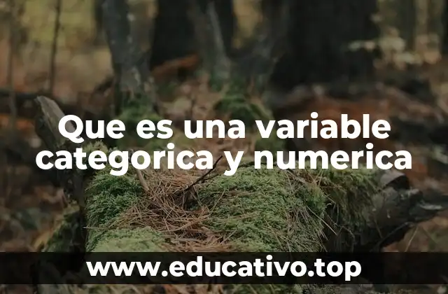 Que es una variable categorica y numerica