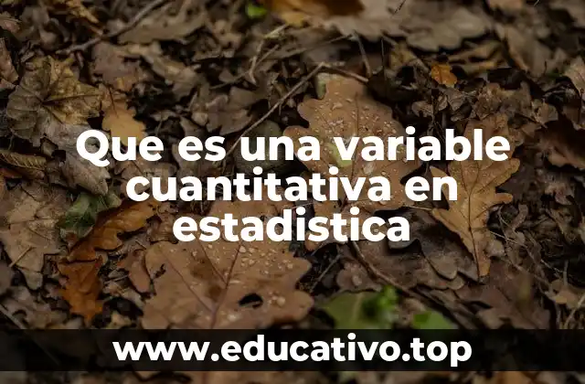 Que es una variable cuantitativa en estadistica