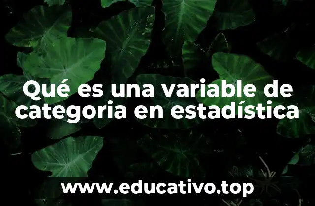 Qué es una variable de categoria en estadística