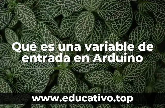 Qué es una variable de entrada en Arduino