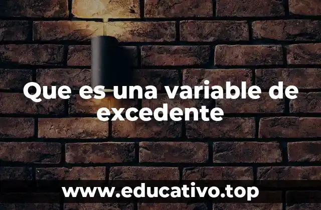 Que es una variable de excedente