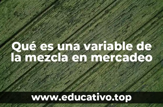 Qué es una variable de la mezcla en mercadeo