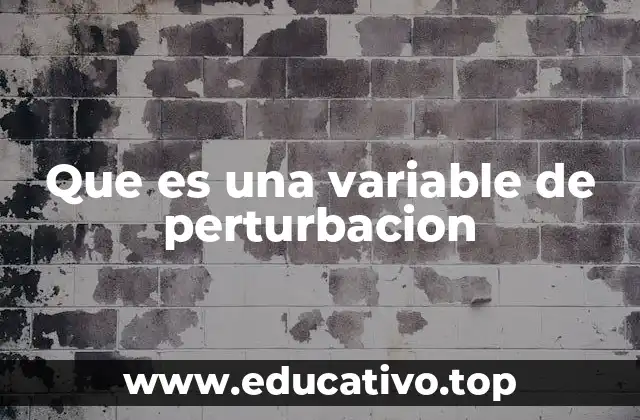 Que es una variable de perturbacion