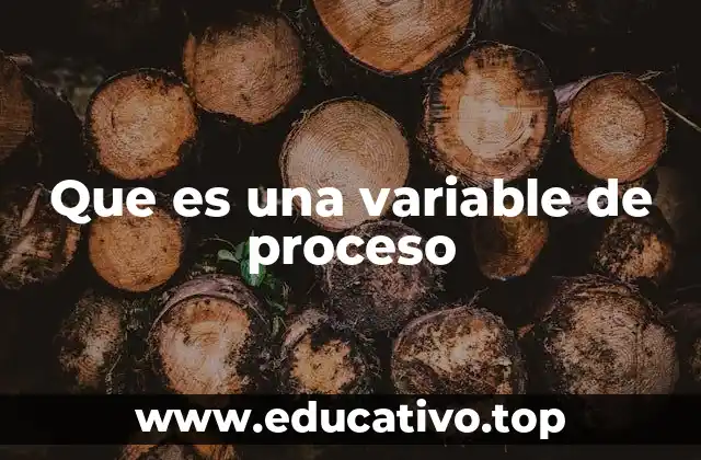 Que es una variable de proceso