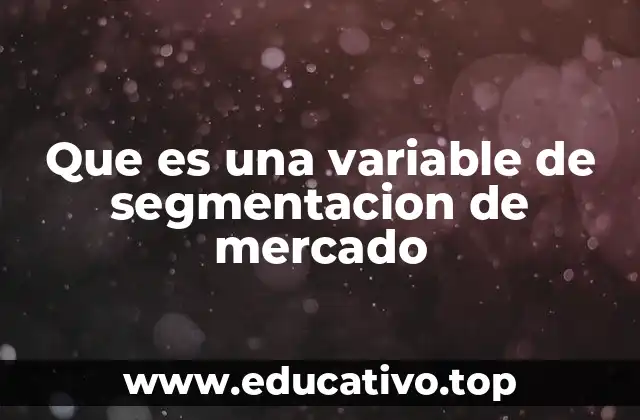 Que es una variable de segmentacion de mercado