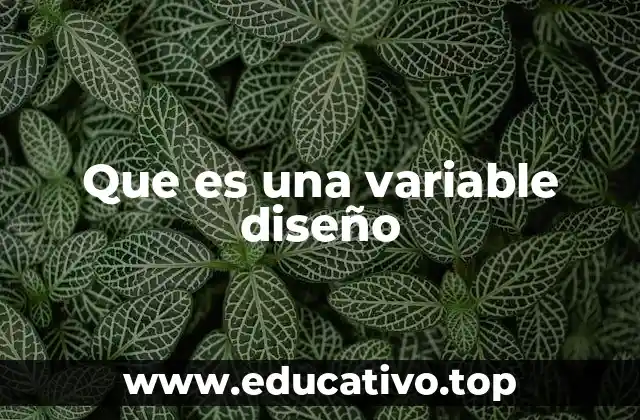 Que es una variable diseño