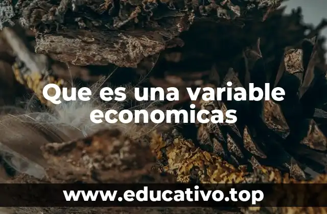 Que es una variable economicas