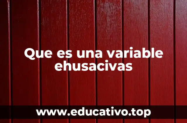 Que es una variable ehusacivas