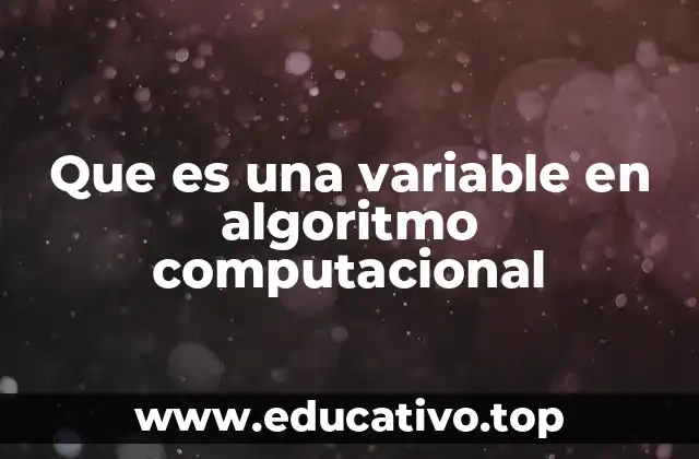 Que es una variable en algoritmo computacional